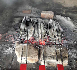 Wandern Tiflis / Tbilisi