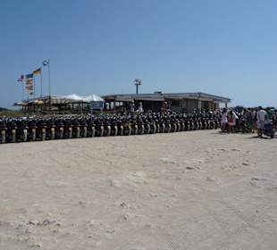 Roller, Roller, Roller