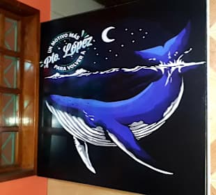 Rundgang Puerto Lopez