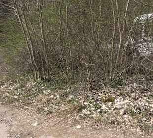 Geologischer Lehrpfad Kirnbachtal