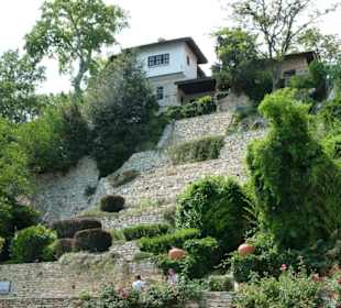 Botanischer Garten
