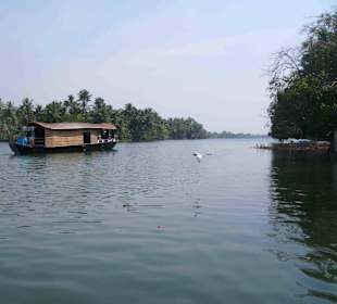 10€-Tagesausflug Backwater