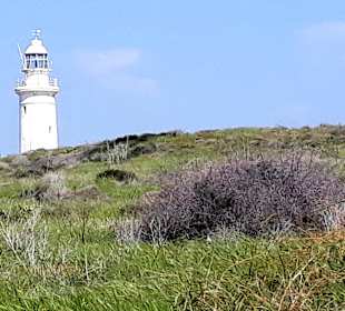 Archäologischer Park Kato Pafos