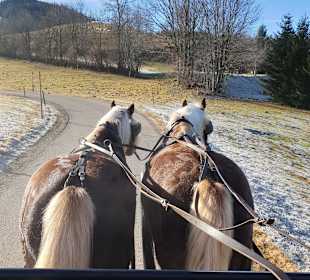 Wandern Hinterzarten