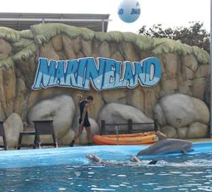 Marineland Mallorca