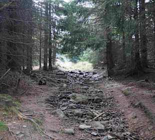 Riesengebirge/Karkonosze