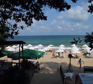 Der Strad ist sauber und aufgeräumt