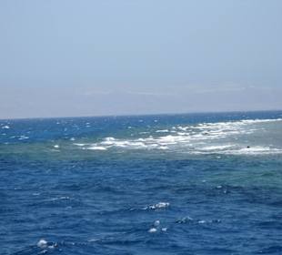 Ein super schönes Riff