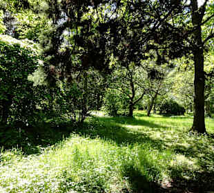 Spaziergang durch den Forstbotanischen Garten