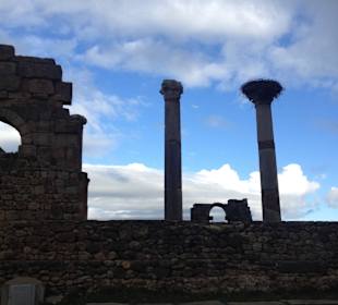 Ehemalige römische Provinzzentrum