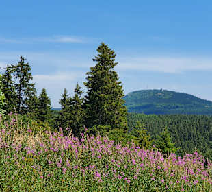 Wandern Oberwiesenthal