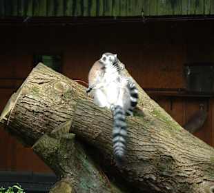 Freizeitpark