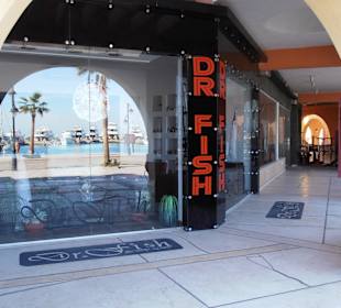 Eingang Dr. Fish Body Care