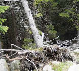 Berg Schneekoppe/Śnieżka