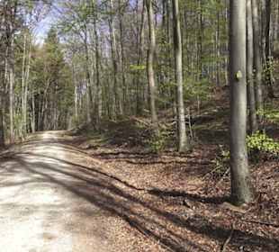 Wanderweg Hochgehkämpft