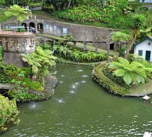 Rundgang durch den Monte Palace Tropical Garden