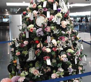 Baum im Airport Larnaca