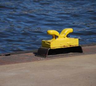 Hafengeburtstag 2008