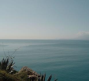 Ausblick