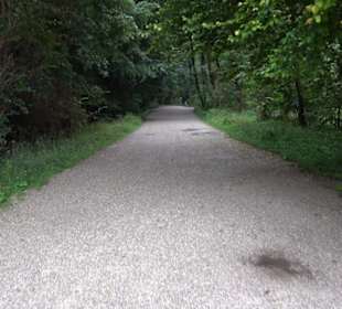 Schlosspark Nymphenburg