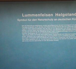 Meeresmuseum Stralsund