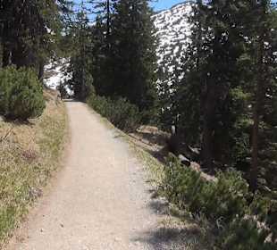 Weg zur Schlegelmulde