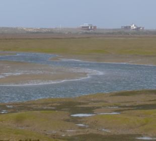 Die Lagune Ria Formosa
