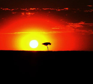 Sonnenaufgang Masei Mara