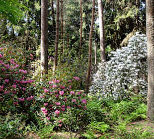 Impressionen vom Rundweg durch den Park