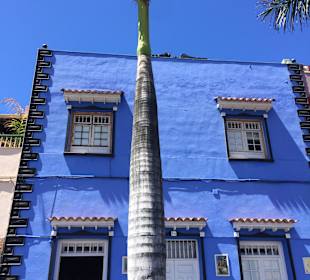 Wandern Puerto de la Cruz