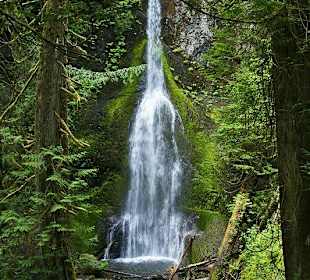 Marymere Falls, Olympic NP