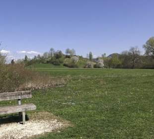 Sport- und Freizeitpark Markwasen