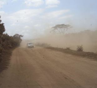 Fahrt in die Masai Mara
