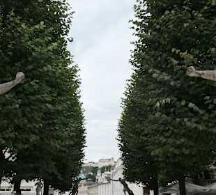 Spaziergang durch den Mirabellgarten