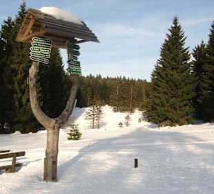 Wegweiser am Veilchenbrunnen