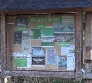 Wanderung rund um den Ochsenweiher