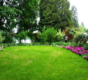 Immer wieder diese Einschnitte