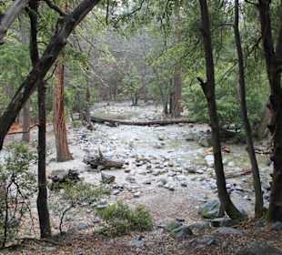 Yosemite Nationalpark