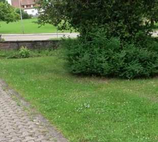 Friedhof Wittlensweiler