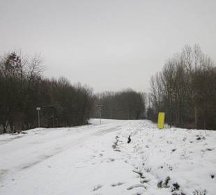 Am Rheindamm im Winter