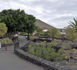 Museum Fundación César Manrique