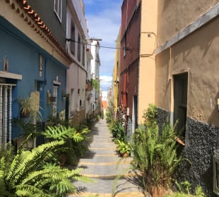 Wandern Puerto de la Cruz