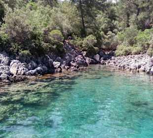 Buchtenfahrt mit kleinem Boot