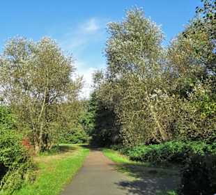 Rundgang durch den Landschaftspark Mühlenhunte