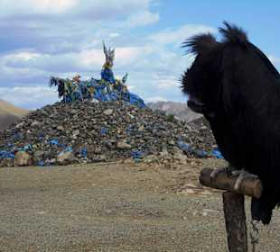Auf dem Weg zum Gorkhi Terelj Nationalpark