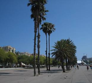 am Port in Barcelona