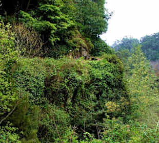 Levada da Janela