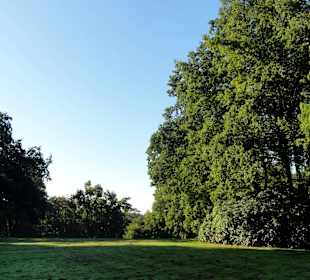 Hier stand einstmals das Knoopsche Schloss