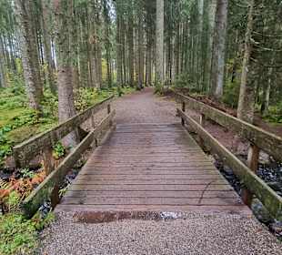 Wandern Titisee-Neustadt