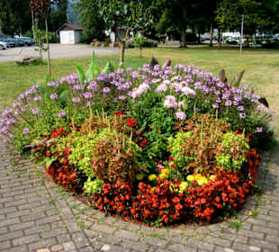 Gepflegte Blumenrabatte